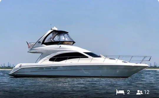 46' Sea Ray Fly Bridge